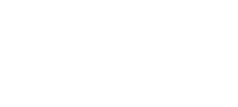 Open PassLogo