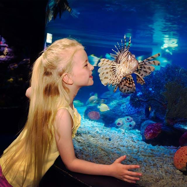 A girl at SEA LIFE Manchester