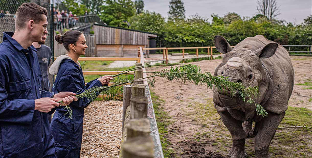 Chester Zoo